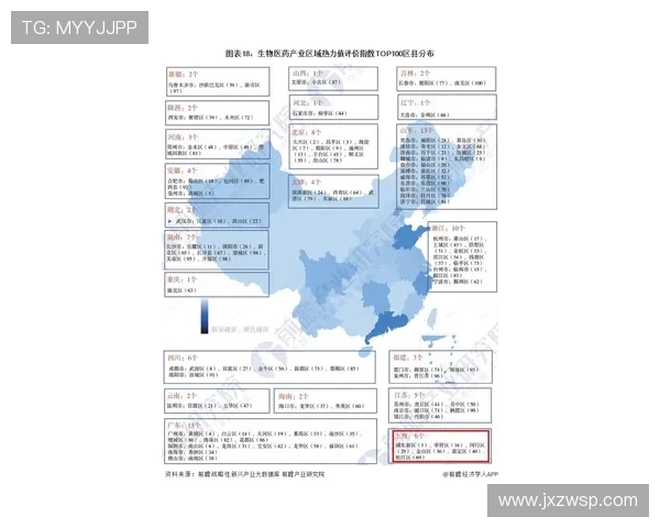 飞盘战术解析：上海飞盘队边路渗透体系的创新与应用探讨